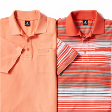 Pegasus Two Pack Stripe Plain Pique Polo - ML699